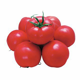 トマト 種 【 風林火山 】 500粒 ( トマトの種 )