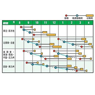  ホウレンソウ 種 【 パワーアップ7 】 1L ( ホウレンソウの種 )