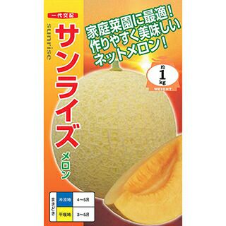 メロン 種 【 サンライズ 】 100粒 ( メロンの種 )