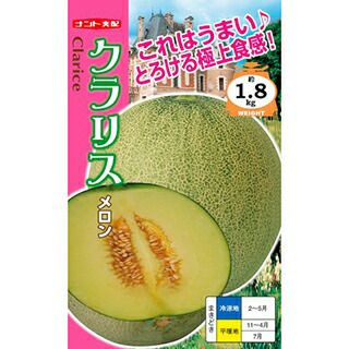 メロン 種 【 クラリス 】 100粒 ( メロンの種 )