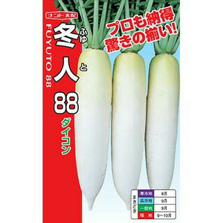 ダイコン 種 【 冬人88 】 20ml ( ダイコンの種 )