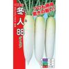 ダイコン 種 【 冬人88 】 20ml ( ダイコンの種 )