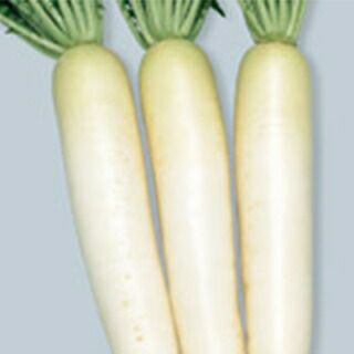 ダイコン 種 【 冬みねセブン 】 実咲