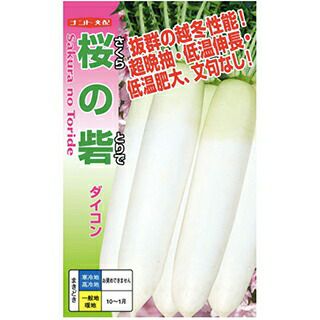 ダイコン 種 【 桜の砦 】