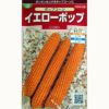 トウモロコシ 種 【 イエローポップ 】 1dl ( トウモロコシの種 )