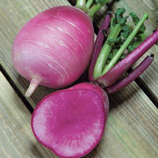 ダイコン 種 【 桃ほっぺ 】