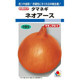 玉ねぎ 種 【 ネオアース 】 ペレット1万粒（2L） ( 玉ねぎの種 )