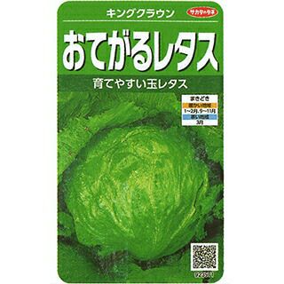 レタス 種 【 キングクラウン 】 実咲