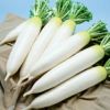 ダイコン 種 【 初神楽 】 ペレット3L5千粒 ( ダイコンの種 )