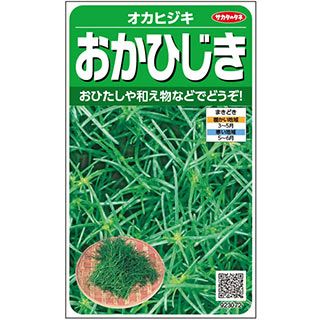 葉菜 種 【 おかひじき 】 実咲