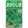 葉菜 種 【 おかひじき 】 実咲