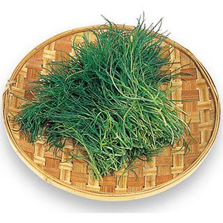 葉菜 種 【 おかひじき 】 実咲小袋 ( 葉菜の種 )