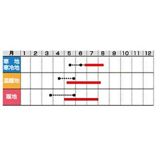 葉菜 種 【 おかひじき 】 実咲小袋 ( 葉菜の種 )