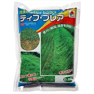 芝生 種 【 ティフブレア 】 500g ( 芝生の種 )