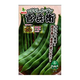 インゲン 種 【 つるなし菜豆　官兵衛 】