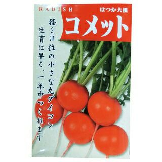 二十日大根コメット　１０ｍｌ（廿日 はつか ハツカ）