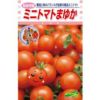 トマト 種 【 まゆか 】
