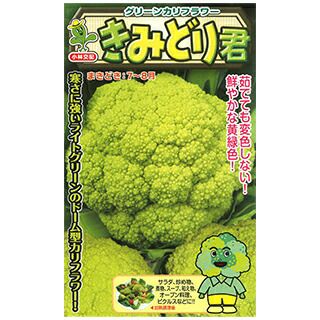 カリフラワー 種 【 きみどり君 】