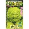カリフラワー 種 【 きみどり君 】