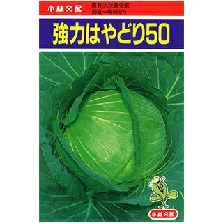 キャベツ 種 【 強力はやどり５０ 】 ペレット5千粒 ( キャベツの種 )