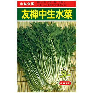 葉菜 種 【 友禅中生水菜 】 1dl ( 葉菜の種 )