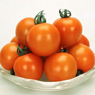 トマト 種 【 オレンジオーレ 】