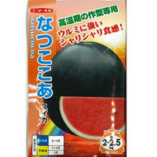 スイカ 種 【 なつここあ 】 200粒 ( スイカの種 )