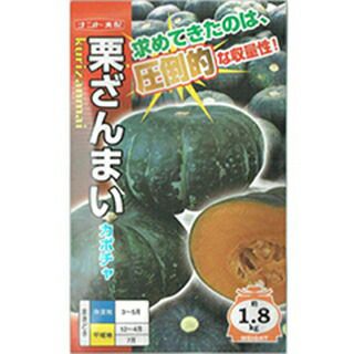 カボチャ 種 【 栗ざんまい 】 500粒 ( カボチャの種 )