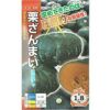 カボチャ 種 【 栗ざんまい 】 500粒 ( カボチャの種 )