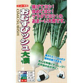 ダイコン 種 【 おむすびッシュ 】 20ml ( ダイコンの種 )