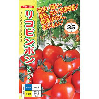 トマト 種 【 リコピンポン 】 500粒 ( トマトの種 )