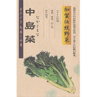 葉菜類 種 【 加賀伝統野菜 中島菜 】 20ml ( 葉菜類の種 )