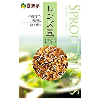 有機種子 発芽豆 種 【 レンズ豆（クリムゾンレッド） 】 40ml(約900粒) ( 有機種子 豆の種 )