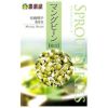 有機種子 発芽豆 種 【 マングビーン（緑豆） 】 50ml(約520粒) ( 有機種子 豆の種 )