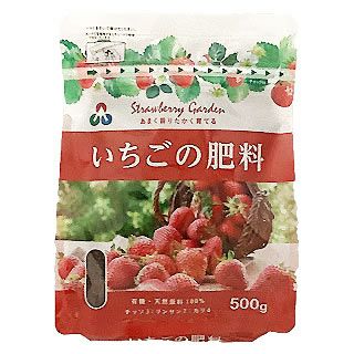 園芸用品 肥料 【 いちごの肥料　500ｇ 】 家庭菜園