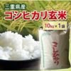 【令和4年度 】【送料無料】三重県産 コシヒカリ玄米 10kg