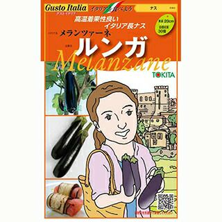 ナス 種 【 メランツァーネ・ルンガ 】 100粒 ( ナスの種 )