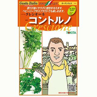 ガーデンクレス 種 【 コントルノ 】 約1000粒 ( ガーデンクレスの種 )