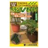 キュウリ 種 【 ベランダきゅうり 】 100粒 ( キュウリの種 )