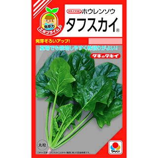 ほうれん草 種 【 タフスカイ 】