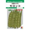 つる有菜豆 種 【 モロッコ 】