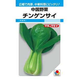 中国野菜 種 【 チンゲンサイ 】