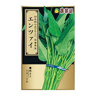 中国野菜 種 【 エンツァイ 】