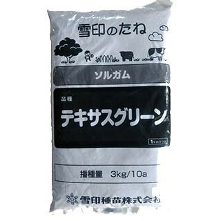 緑肥 種 【 ソルゴー　テキサスグリーン 】 1kg ( 緑肥の種 )