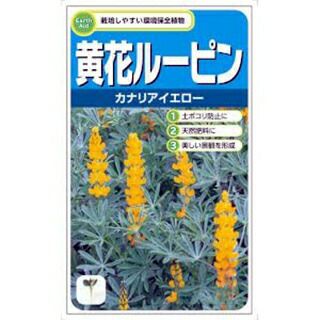 緑肥 種 黄花ルーピン カナリアイエロー 小袋 緑肥の種 菜園くらぶ 種と苗と園芸資材の専門店