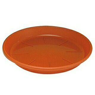 浅皿APブラウン 7号