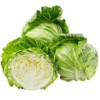 キャベツ 種 【 桜春ＡＳ 】