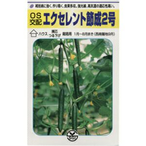 キュウリ 種 【 エクセレント節成2号 】 50粒 ( キュウリの種 )