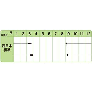 玉ねぎ 種 【 スーパーこがね 】 小袋 ( たまねぎの種 )