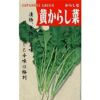 葉菜 種 【 黄からしな 】